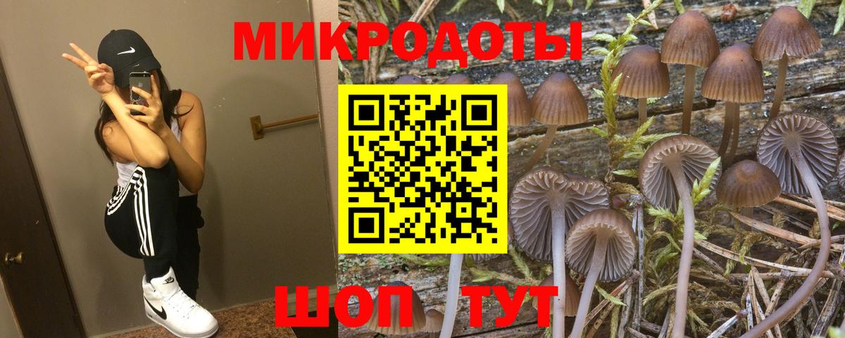 Псилоцибиновые грибы Psilocybe  Псилоцибиновые грибы GOLDEN TEACHER  Саянск  Вход с VPN 